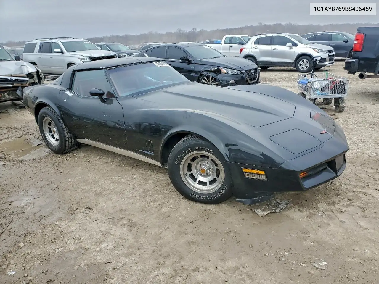 1G1AY8769BS406459 1981 Chevrolet Corvette