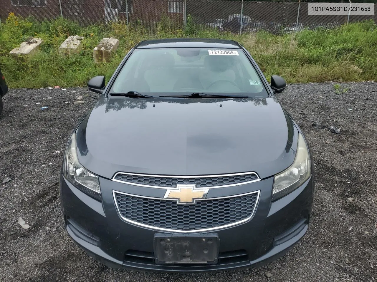 2013 Chevrolet Cruze Ls VIN: 1G1PA5SG1D7231658 Lot: 72133964