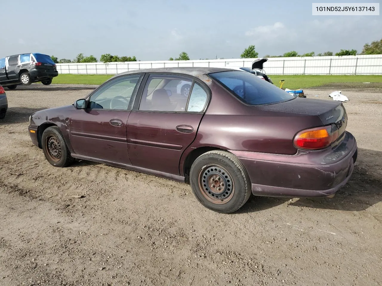 2000 Chevrolet Malibu VIN: 1G1ND52J5Y6137143 Lot: 65457234