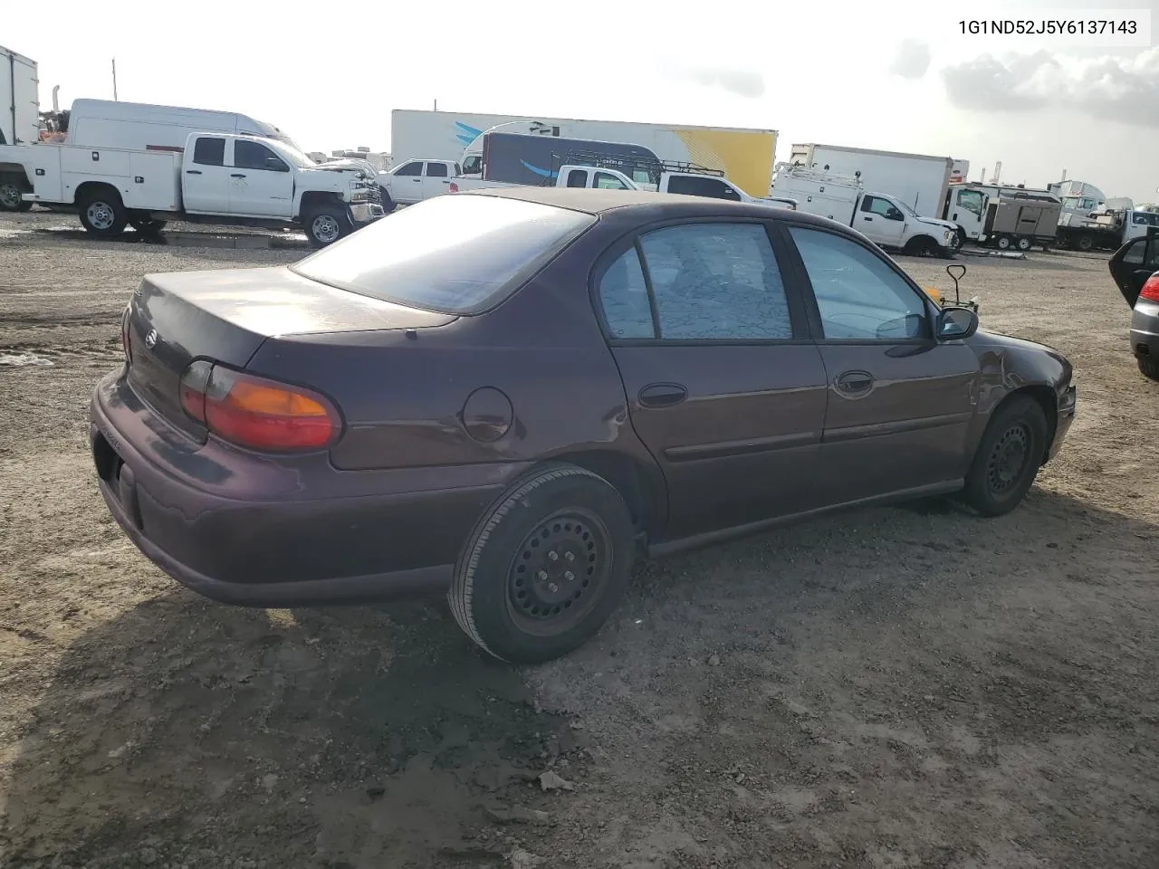 2000 Chevrolet Malibu VIN: 1G1ND52J5Y6137143 Lot: 65457234