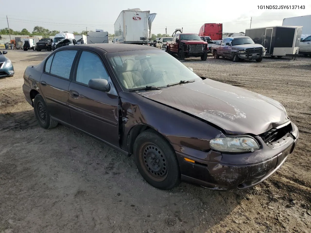 2000 Chevrolet Malibu VIN: 1G1ND52J5Y6137143 Lot: 65457234