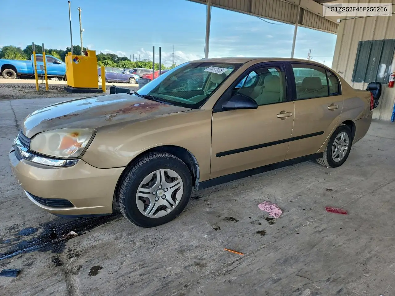 1G1ZS52F45F256266 2005 Chevrolet Malibu