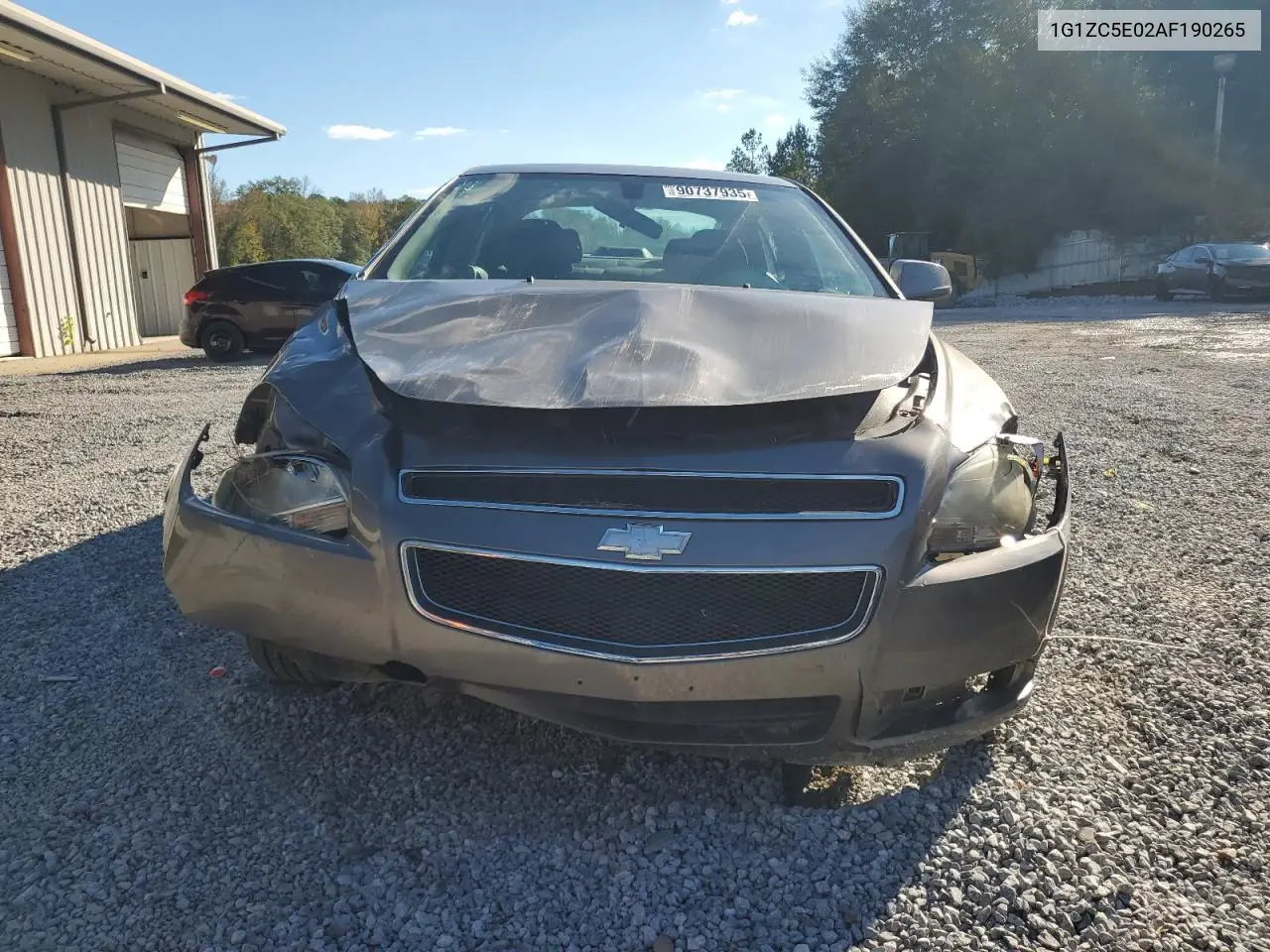 1G1ZC5E02AF190265 2010 Chevrolet Malibu 1Lt