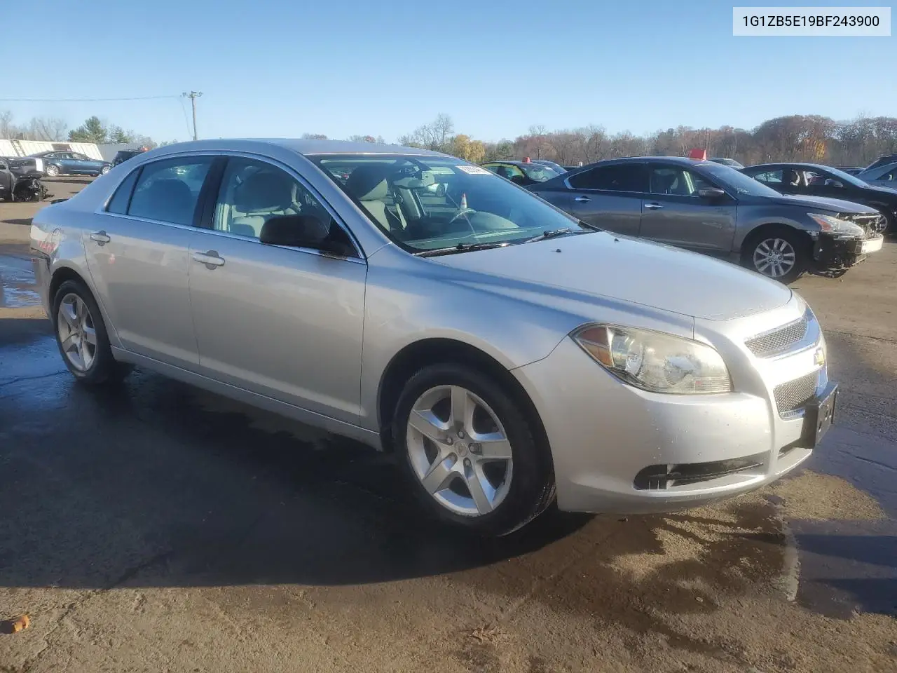 1G1ZB5E19BF243900 2011 Chevrolet Malibu Ls
