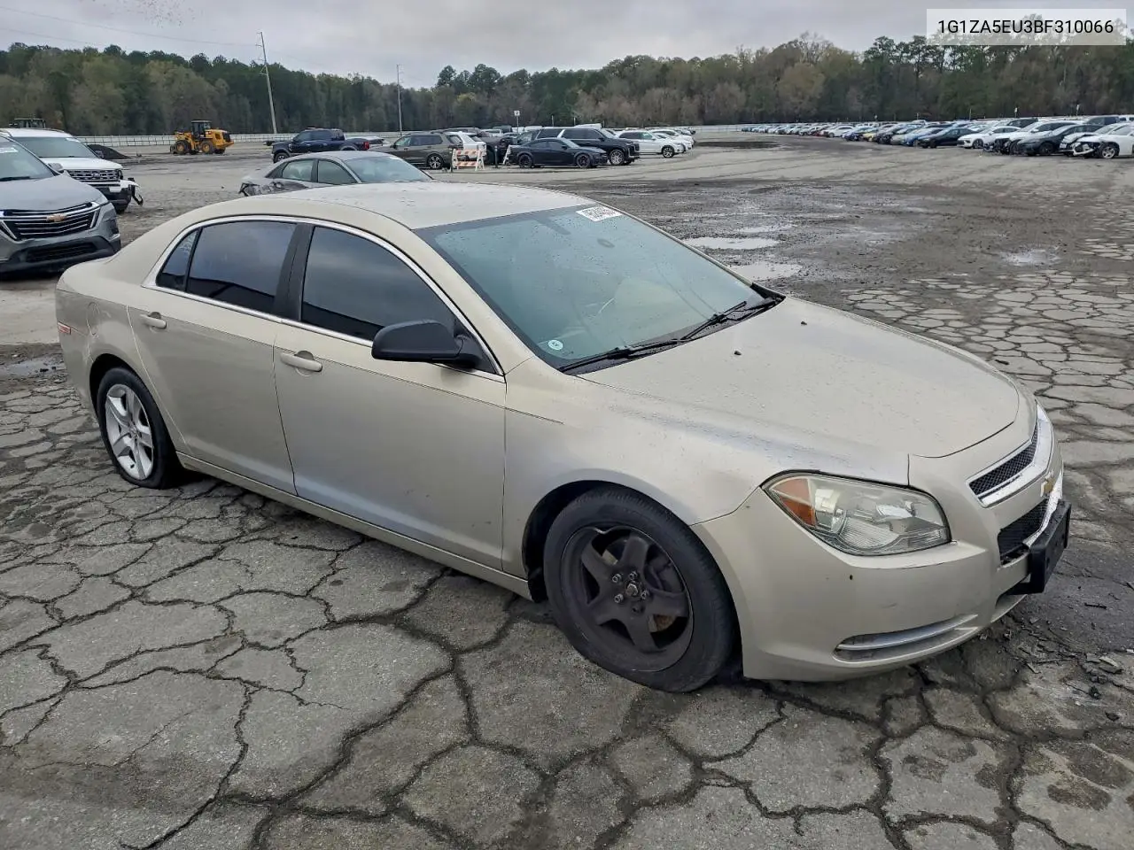 1G1ZA5EU3BF310066 2011 Chevrolet Malibu Ls