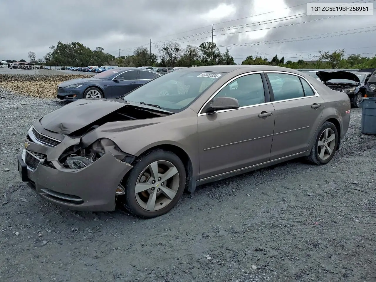1G1ZC5E19BF258961 2011 Chevrolet Malibu 1Lt