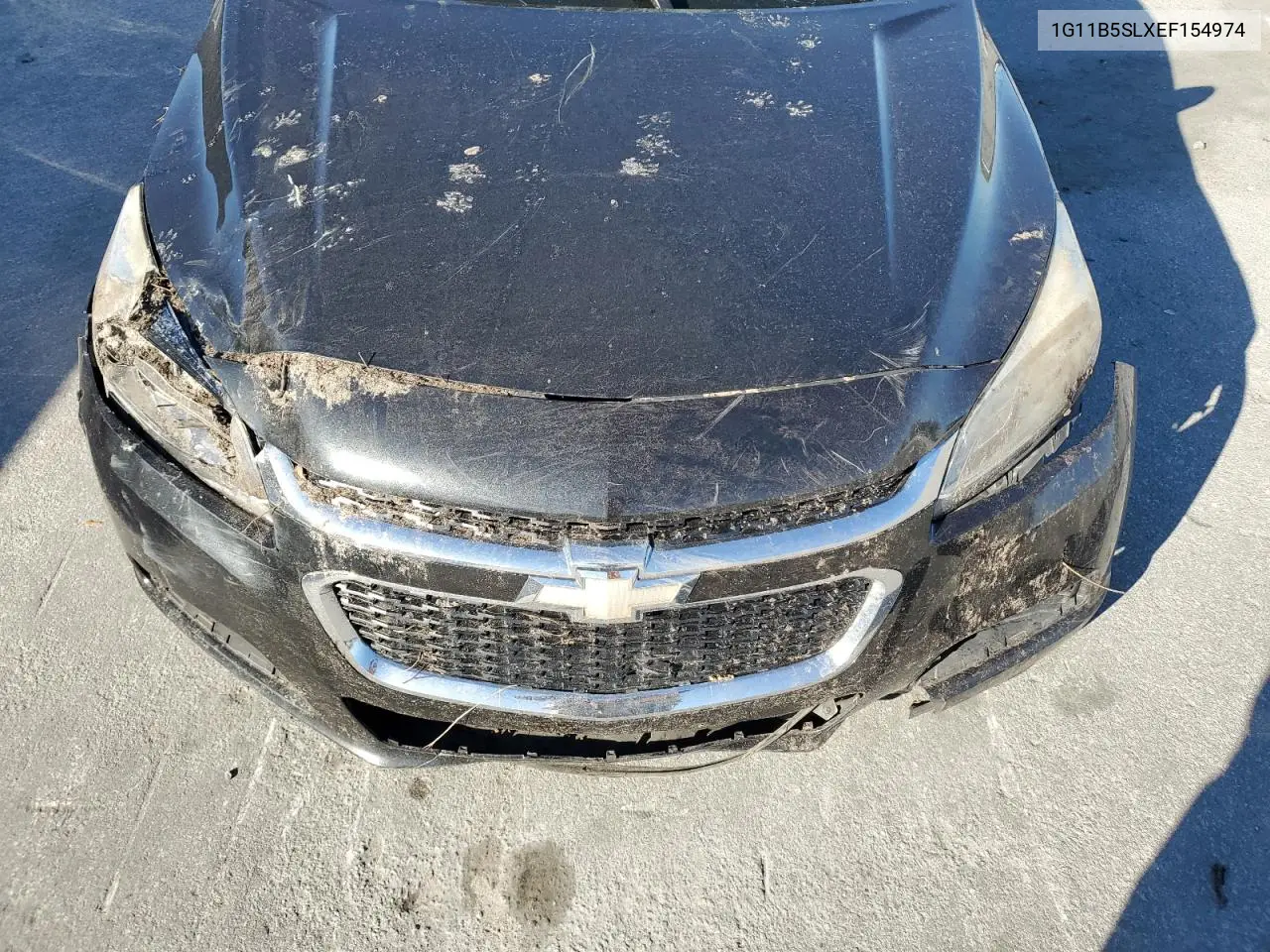 1G11B5SLXEF154974 2014 Chevrolet Malibu Ls