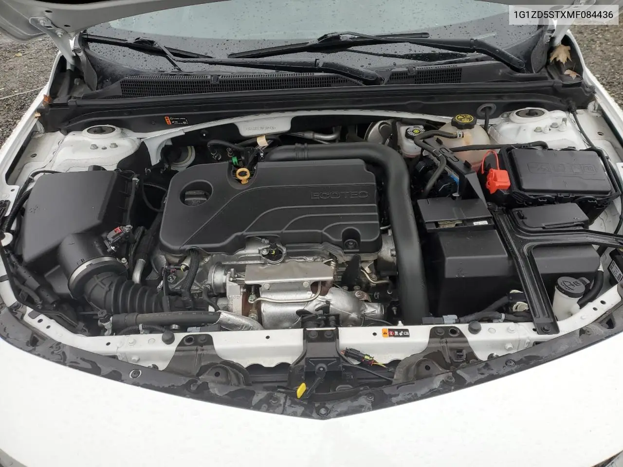 1G1ZD5STXMF084436 2021 Chevrolet Malibu Lt