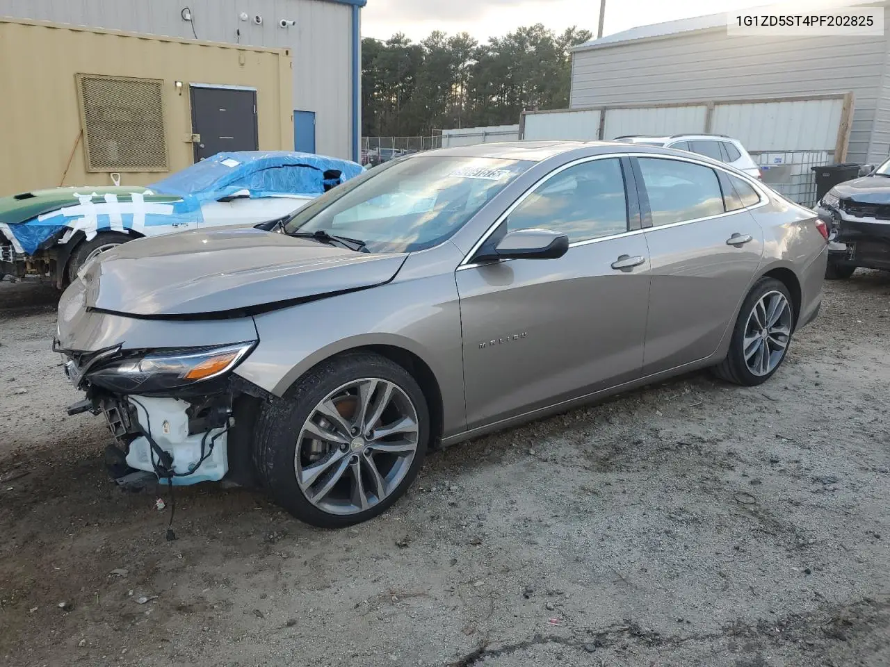 1G1ZD5ST4PF202825 2023 Chevrolet Malibu Lt
