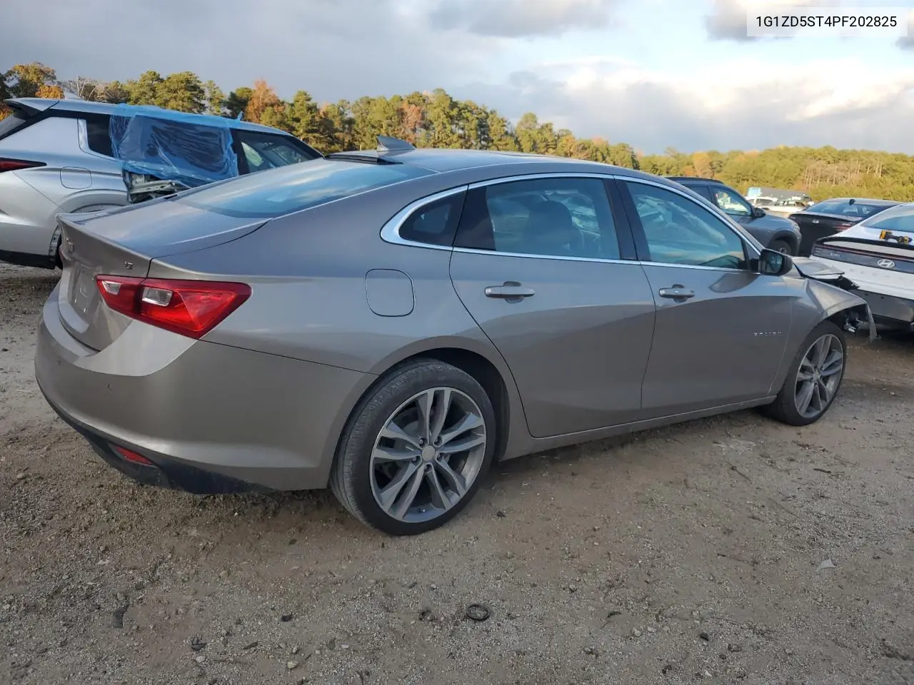 1G1ZD5ST4PF202825 2023 Chevrolet Malibu Lt