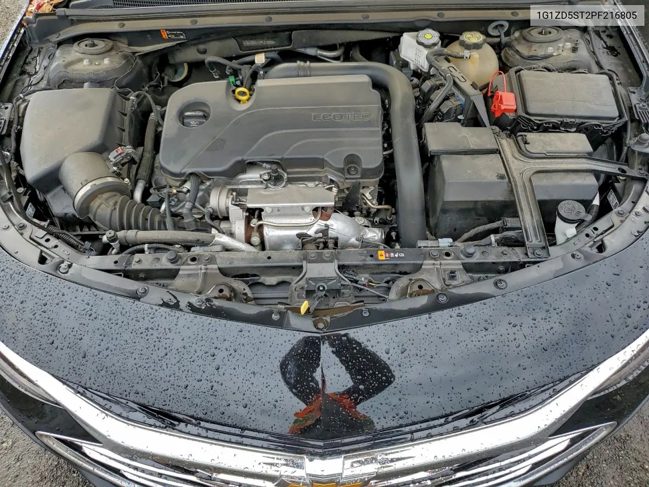 1G1ZD5ST2PF216805 2023 Chevrolet Malibu Lt