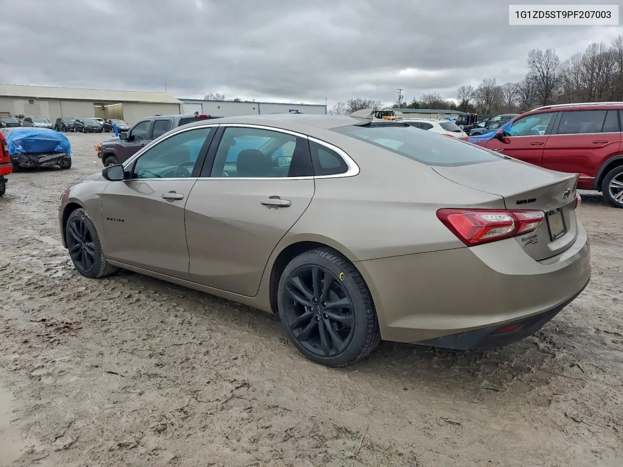 1G1ZD5ST9PF207003 2023 Chevrolet Malibu Lt