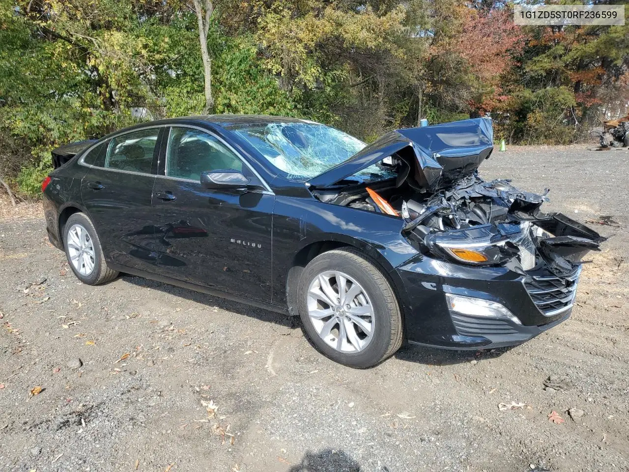 1G1ZD5ST0RF236599 2024 Chevrolet Malibu Lt
