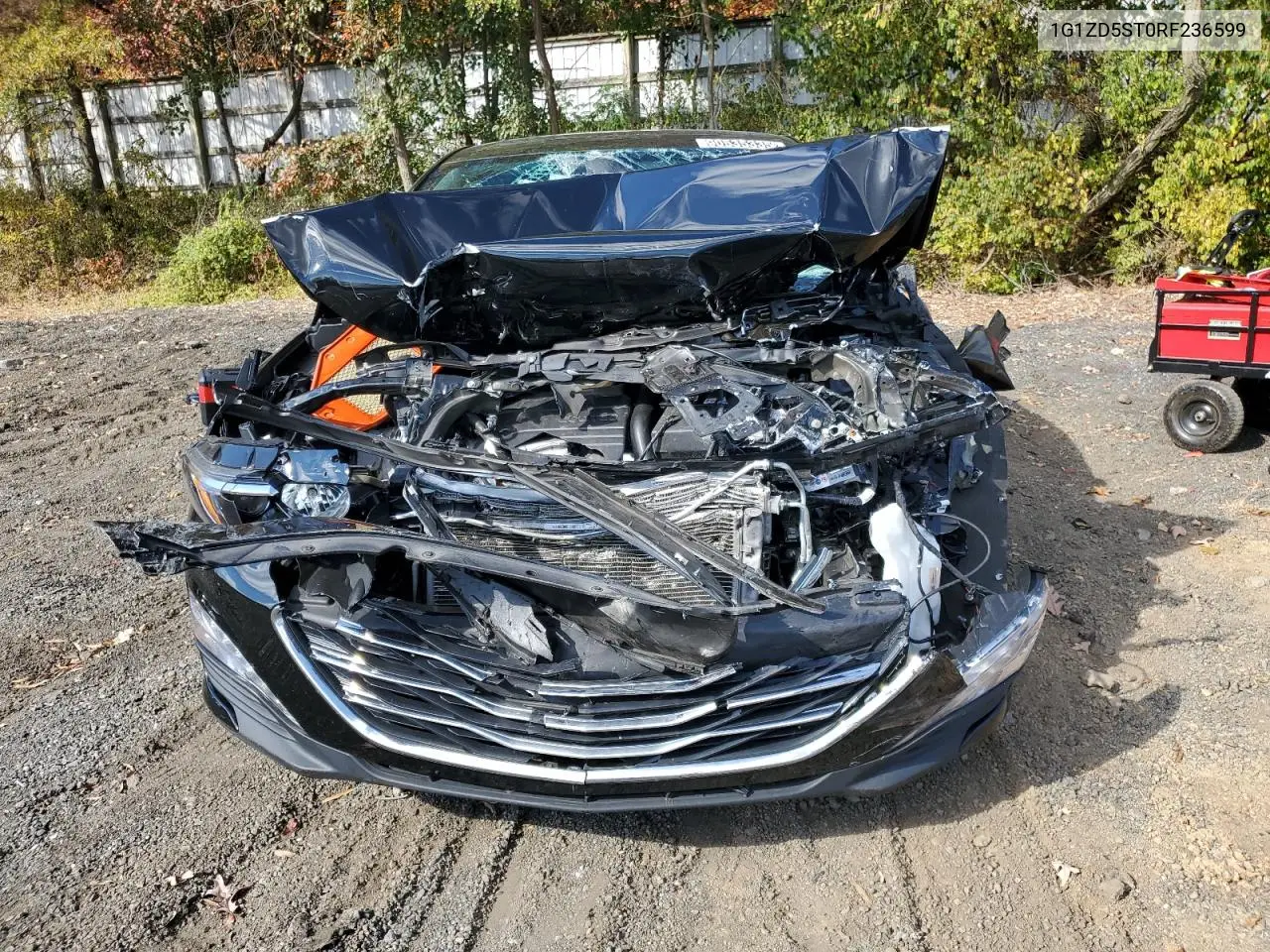 1G1ZD5ST0RF236599 2024 Chevrolet Malibu Lt