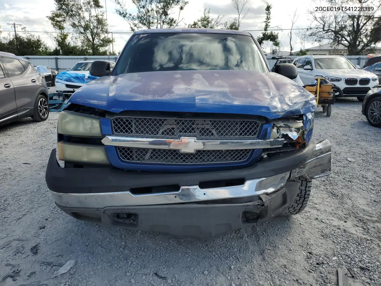 2GCEC19T541228389 2004 Chevrolet Silverado C1500