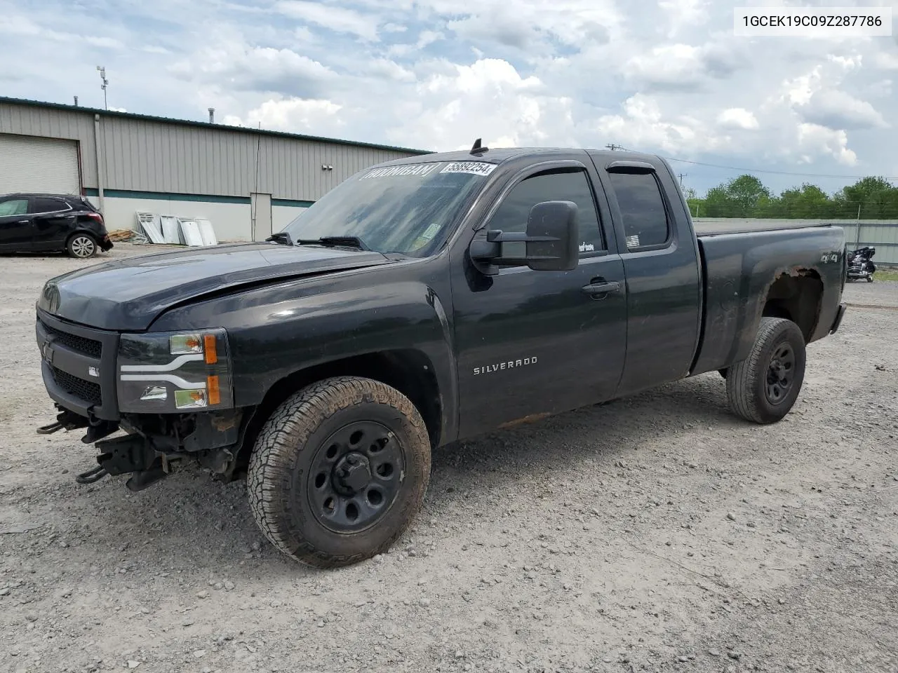 2009 Chevrolet Silverado K1500 VIN: 1GCEK19C09Z287786 Lot: 55892254