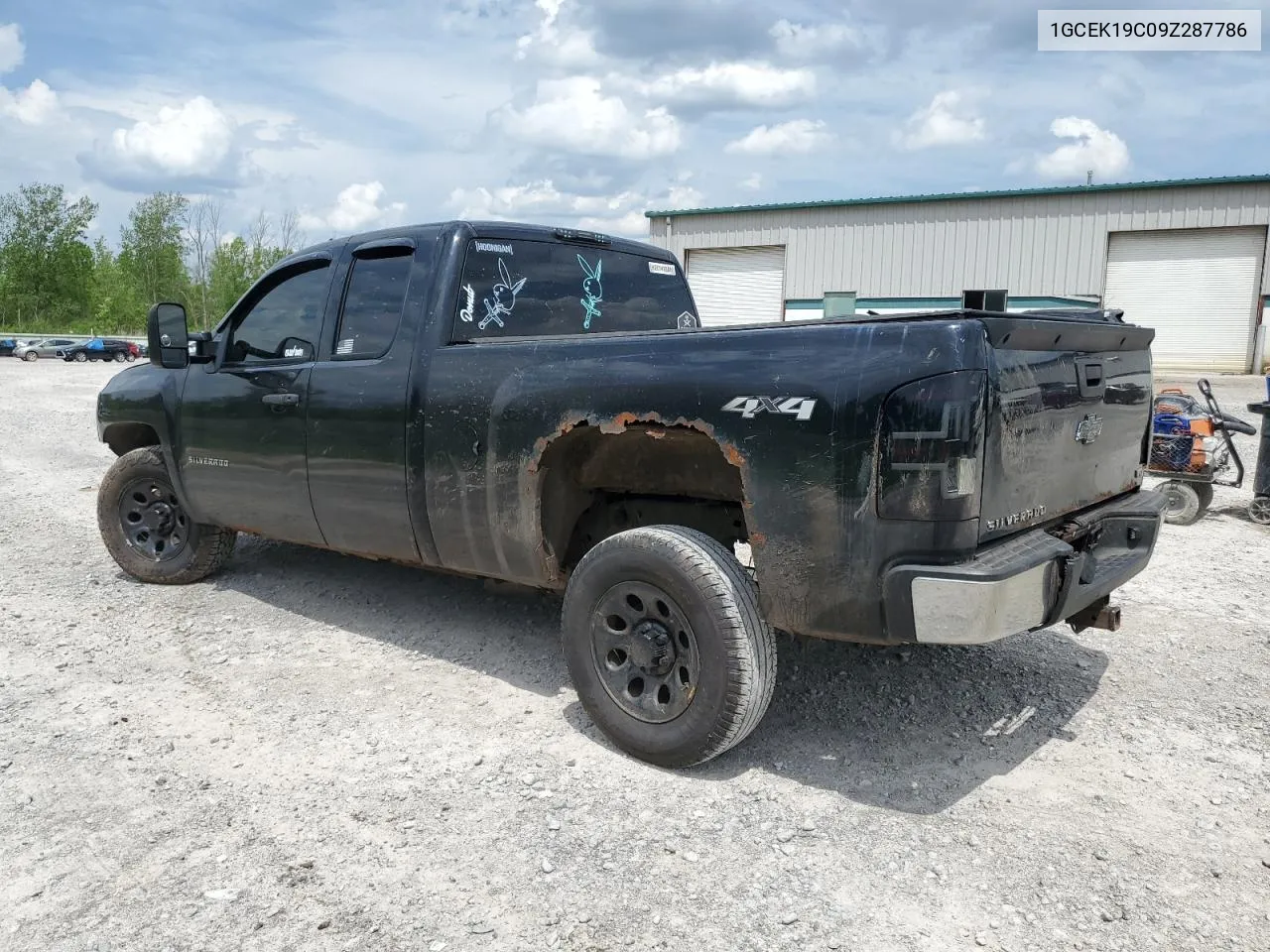 2009 Chevrolet Silverado K1500 VIN: 1GCEK19C09Z287786 Lot: 55892254