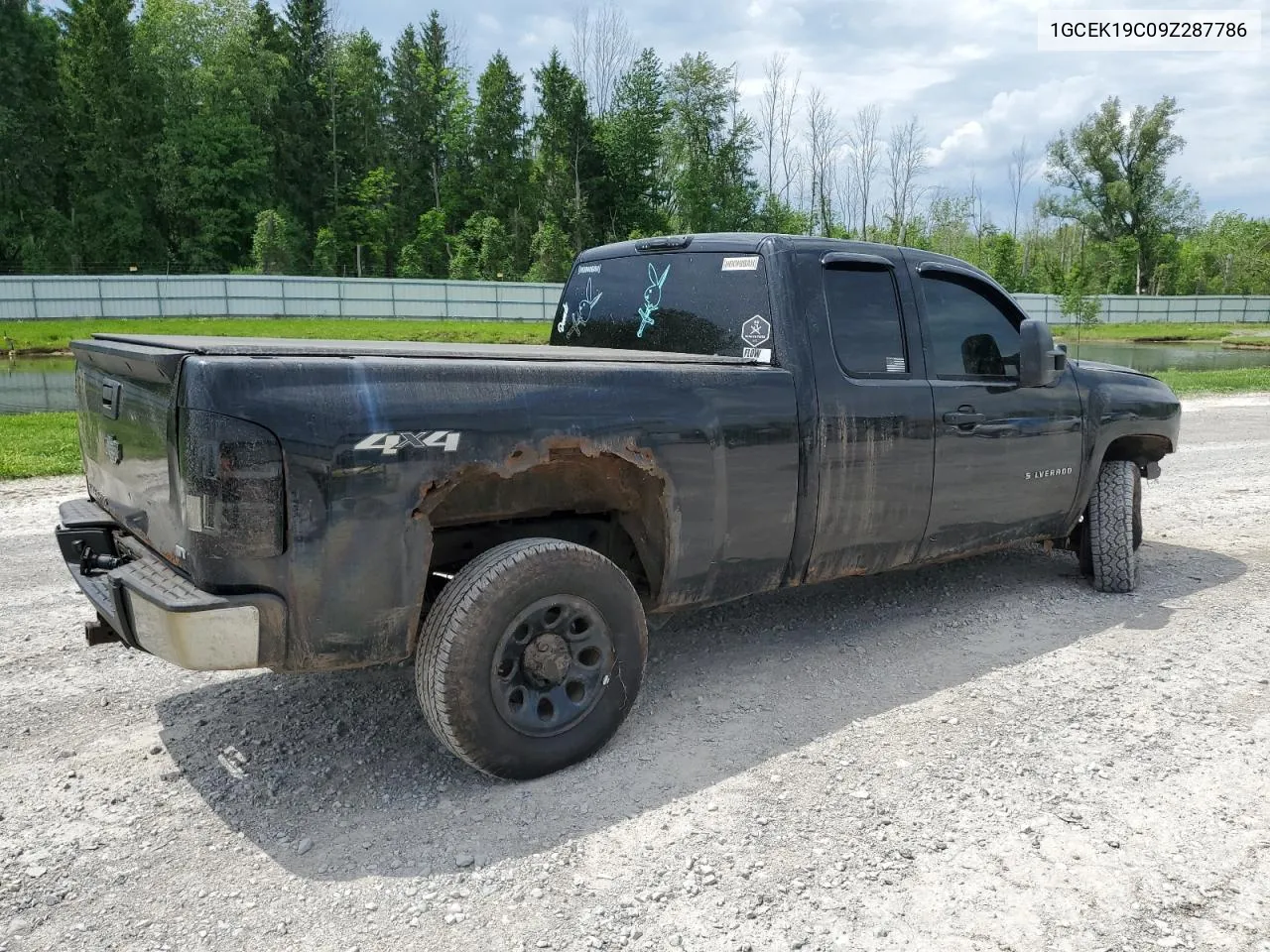 2009 Chevrolet Silverado K1500 VIN: 1GCEK19C09Z287786 Lot: 55892254