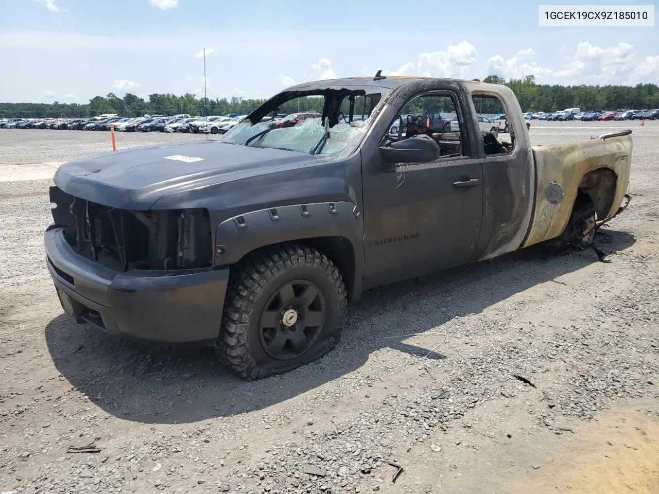 2009 Chevrolet Silverado K1500 VIN: 1GCEK19CX9Z185010 Lot: 62114974