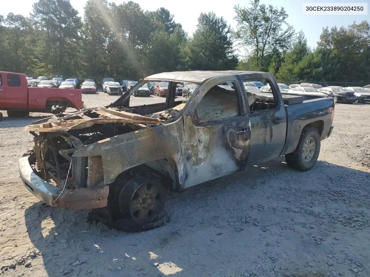 3GCEK23389G204250 2009 Chevrolet Silverado K1500 Lt