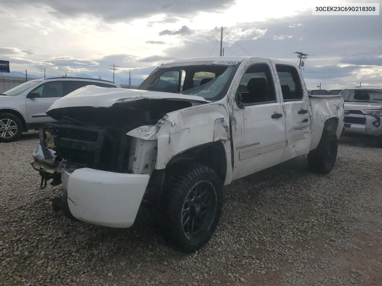 3GCEK23C69G218308 2009 Chevrolet Silverado K1500 Lt