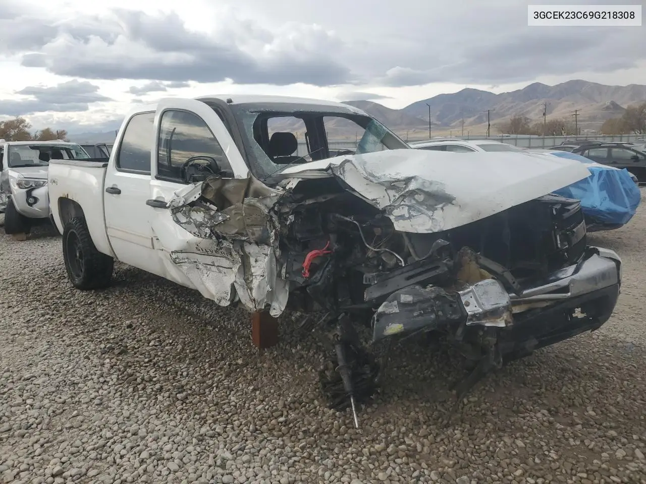 3GCEK23C69G218308 2009 Chevrolet Silverado K1500 Lt