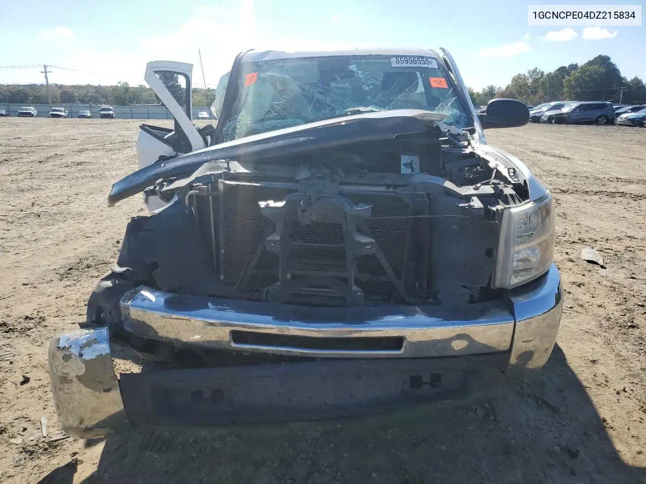 1GCNCPE04DZ215834 2013 Chevrolet Silverado C1500