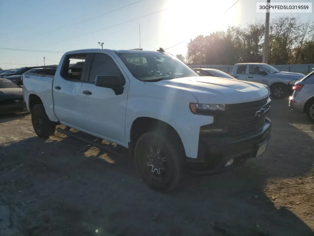 3GCPYFED5LG319559 2020 Chevrolet Silverado K1500 Lt Trail Boss