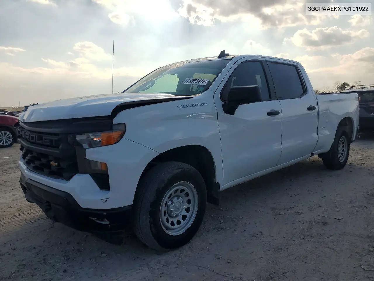 3GCPAAEKXPG101922 2023 Chevrolet Silverado C1500