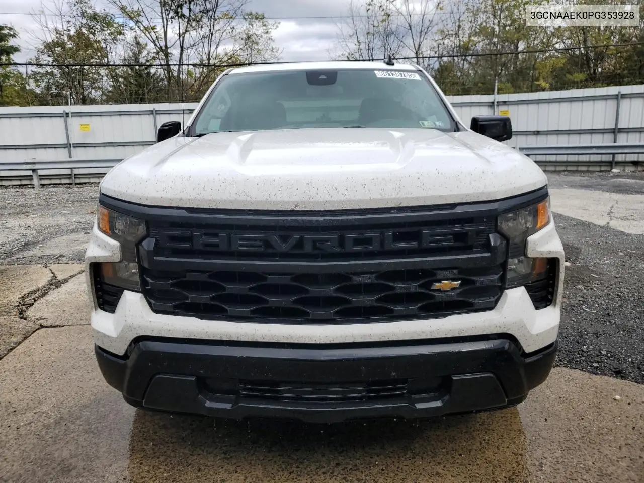 3GCNAAEK0PG353928 2023 Chevrolet Silverado C1500