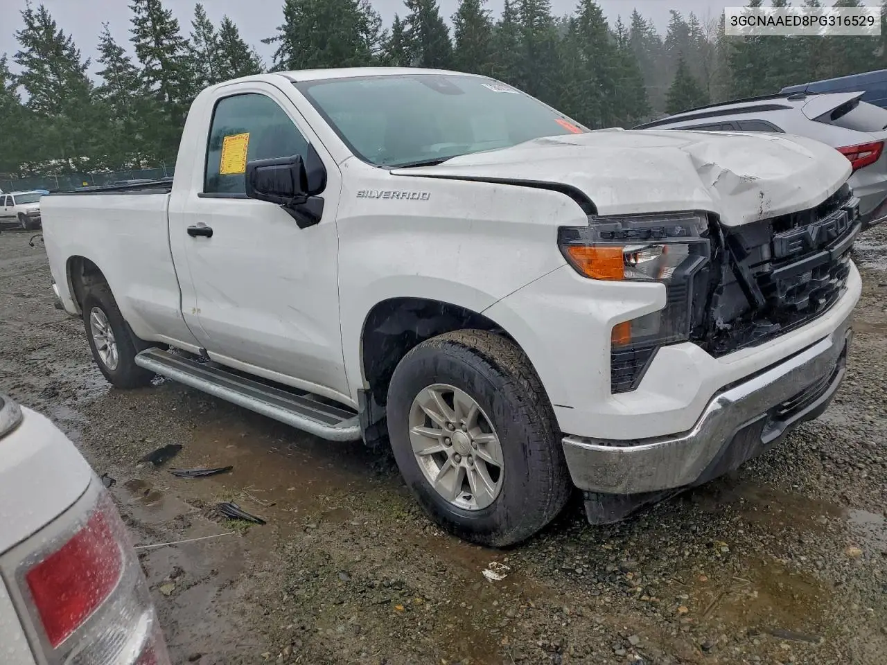 3GCNAAED8PG316529 2023 Chevrolet Silverado C1500