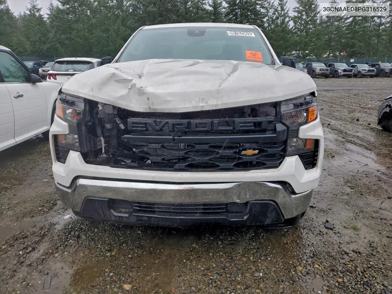 3GCNAAED8PG316529 2023 Chevrolet Silverado C1500