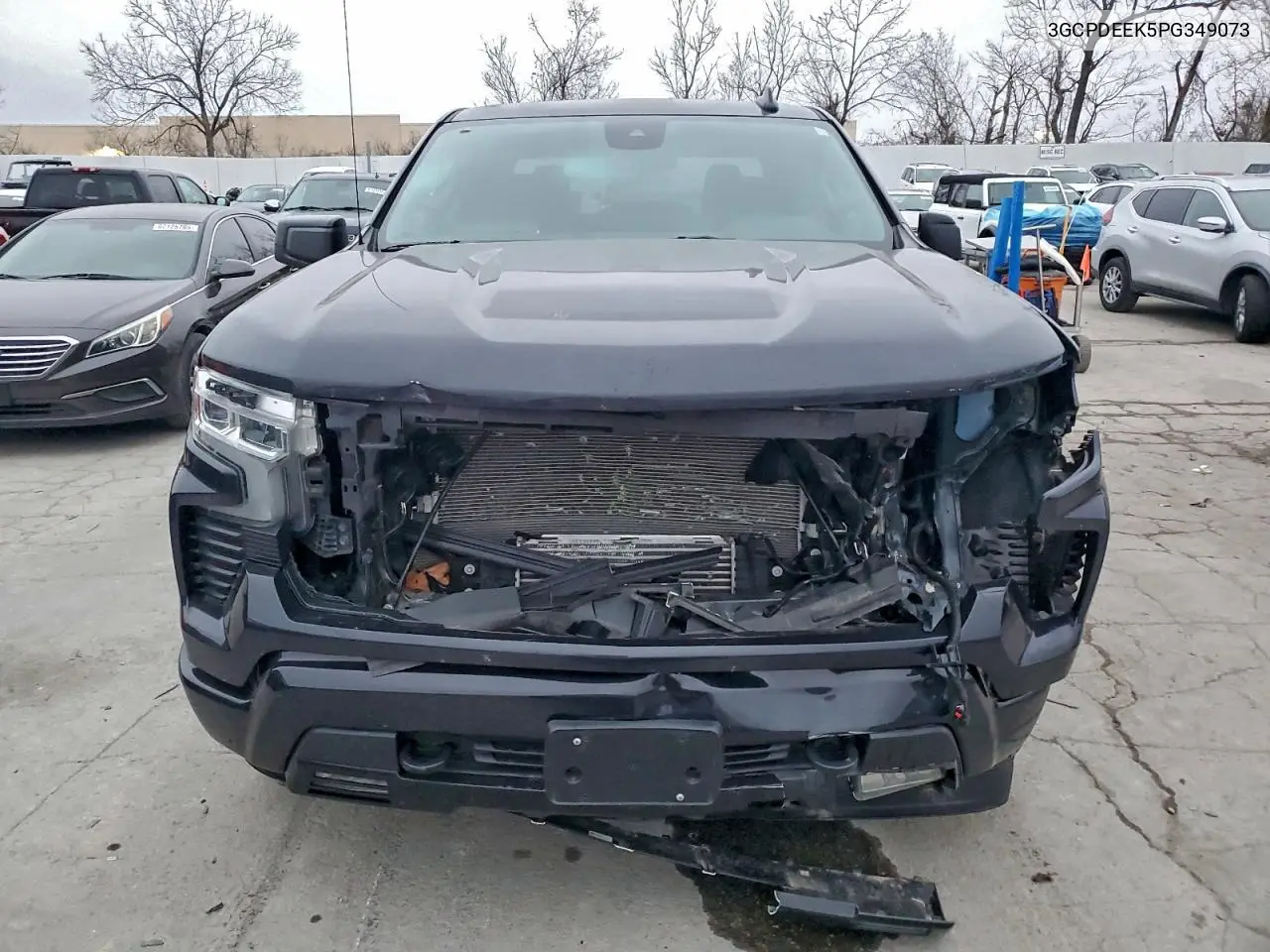 3GCPDEEK5PG349073 2023 Chevrolet Silverado K1500 Rst