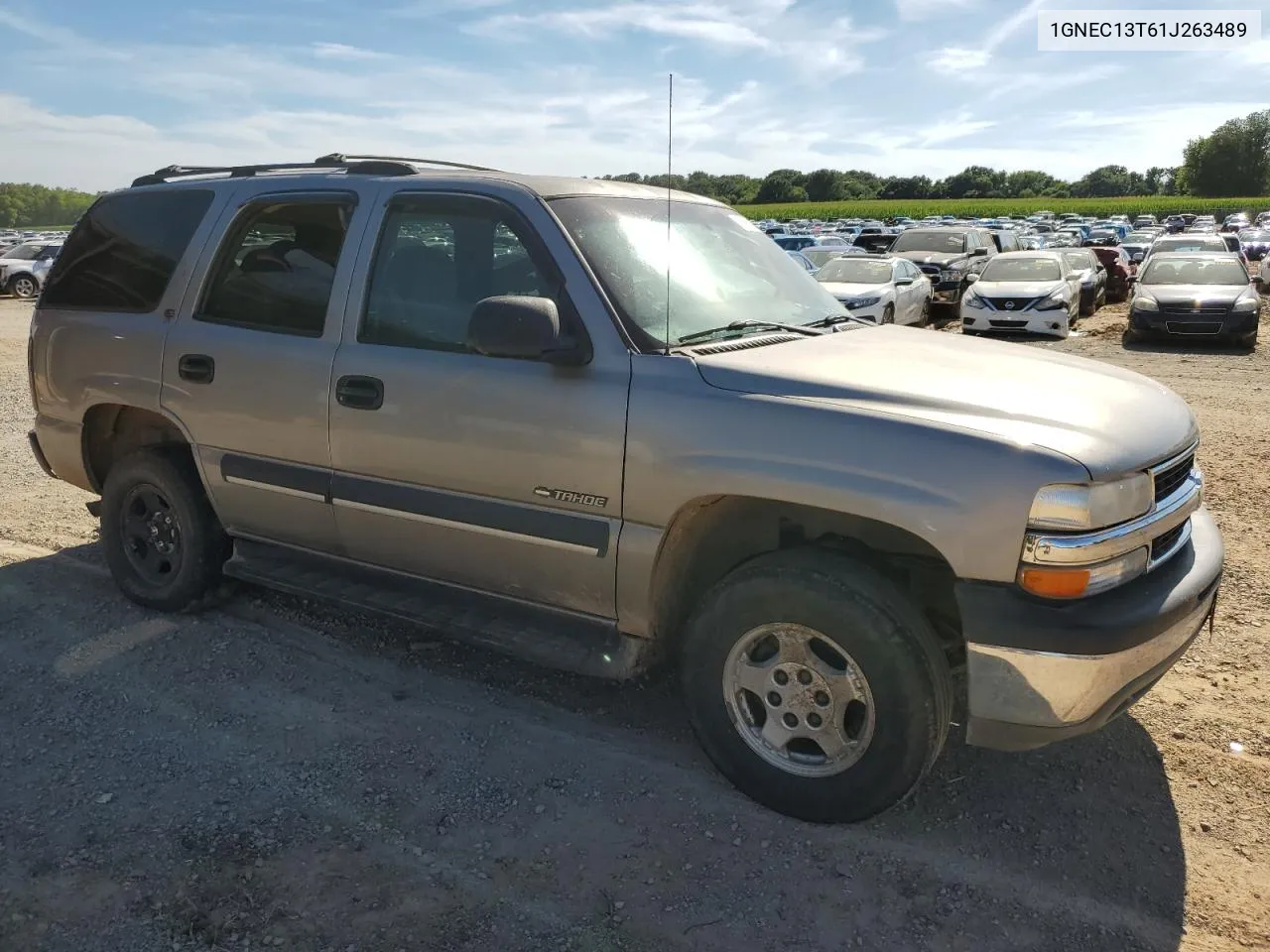 2001 Chevrolet Tahoe C1500 VIN: 1GNEC13T61J263489 Lot: 58686184