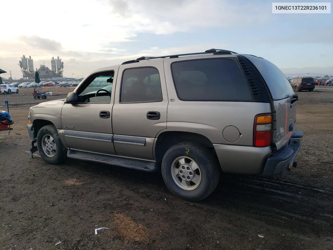 2002 Chevrolet Tahoe C1500 VIN: 1GNEC13T22R236101 Lot: 65259784