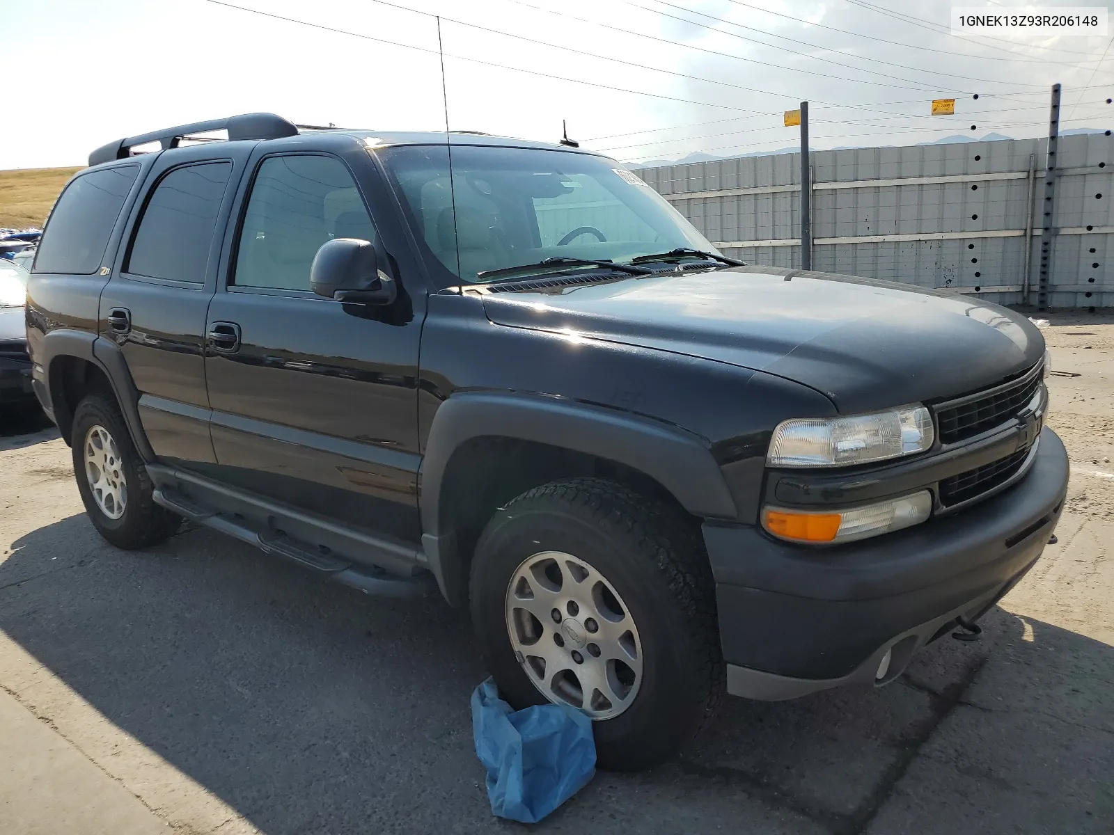 2003 Chevrolet Tahoe K1500 VIN: 1GNEK13Z93R206148 Lot: 65210344