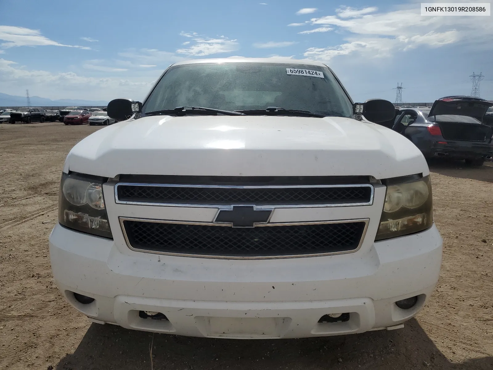 2009 Chevrolet Tahoe K1500 Ls VIN: 1GNFK13019R208586 Lot: 65981424