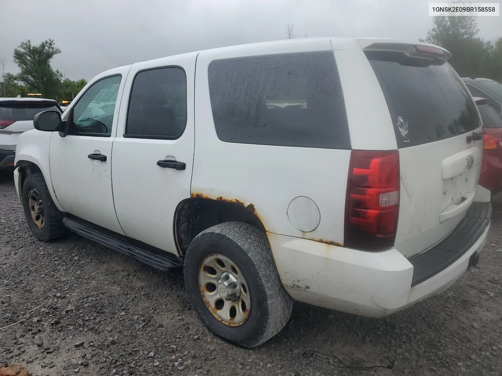 2011 Chevrolet Tahoe Special VIN: 1GNSK2E09BR158558 Lot: 67353884