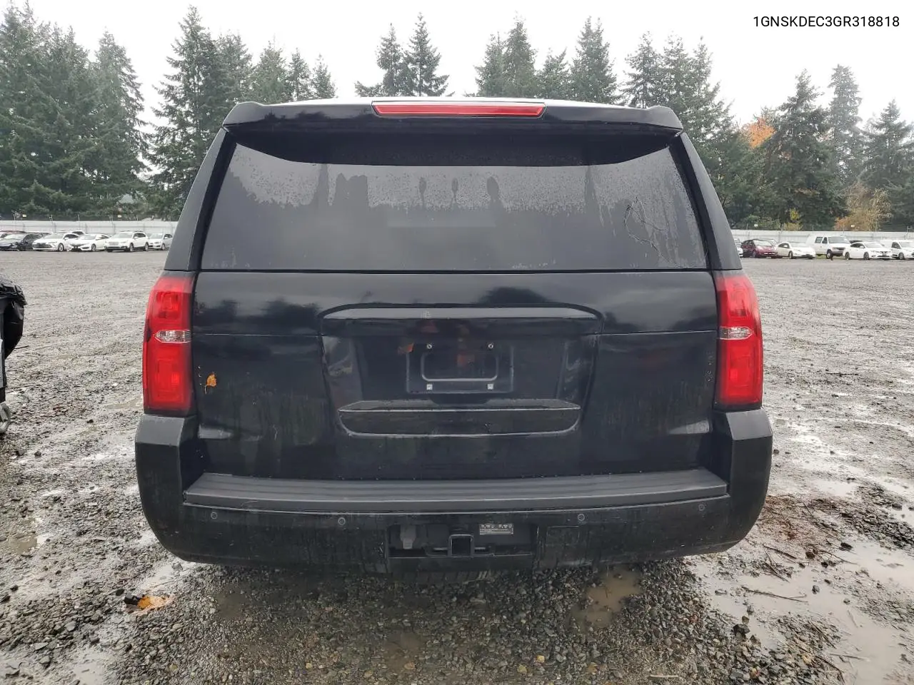 1GNSKDEC3GR318818 2016 Chevrolet Tahoe Police