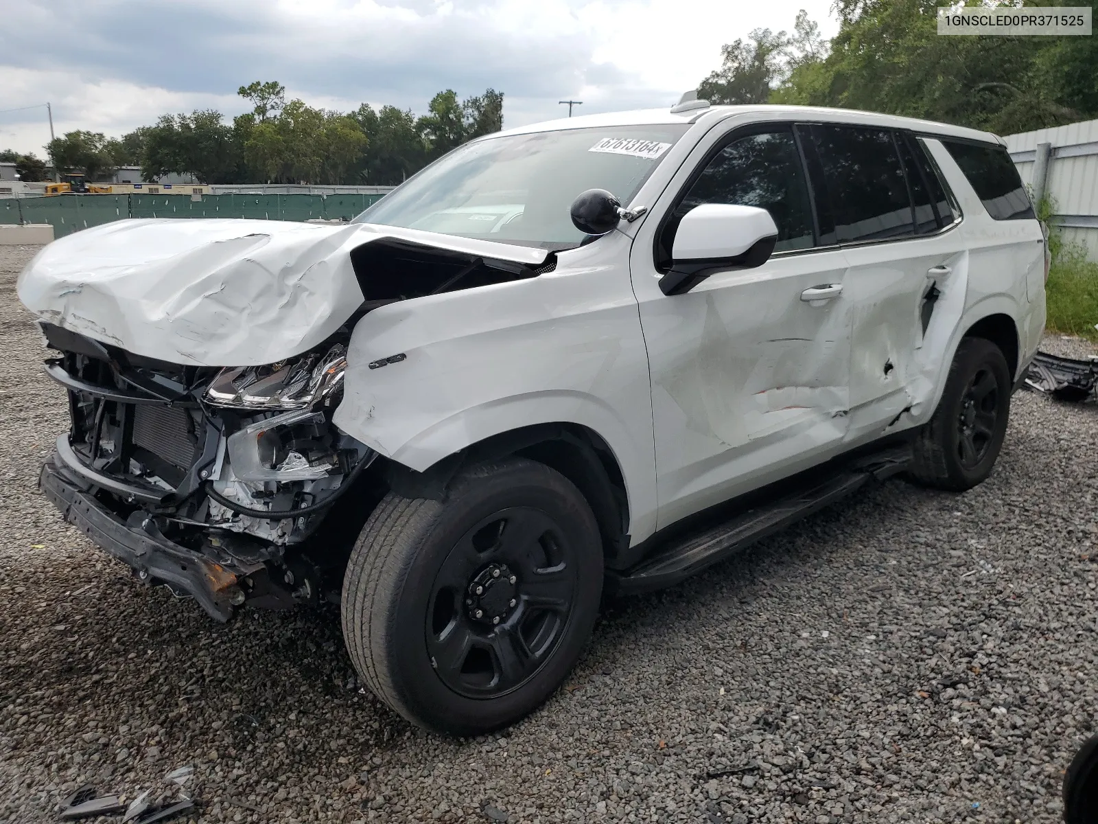 2023 Chevrolet Tahoe C1500 VIN: 1GNSCLED0PR371525 Lot: 67613164