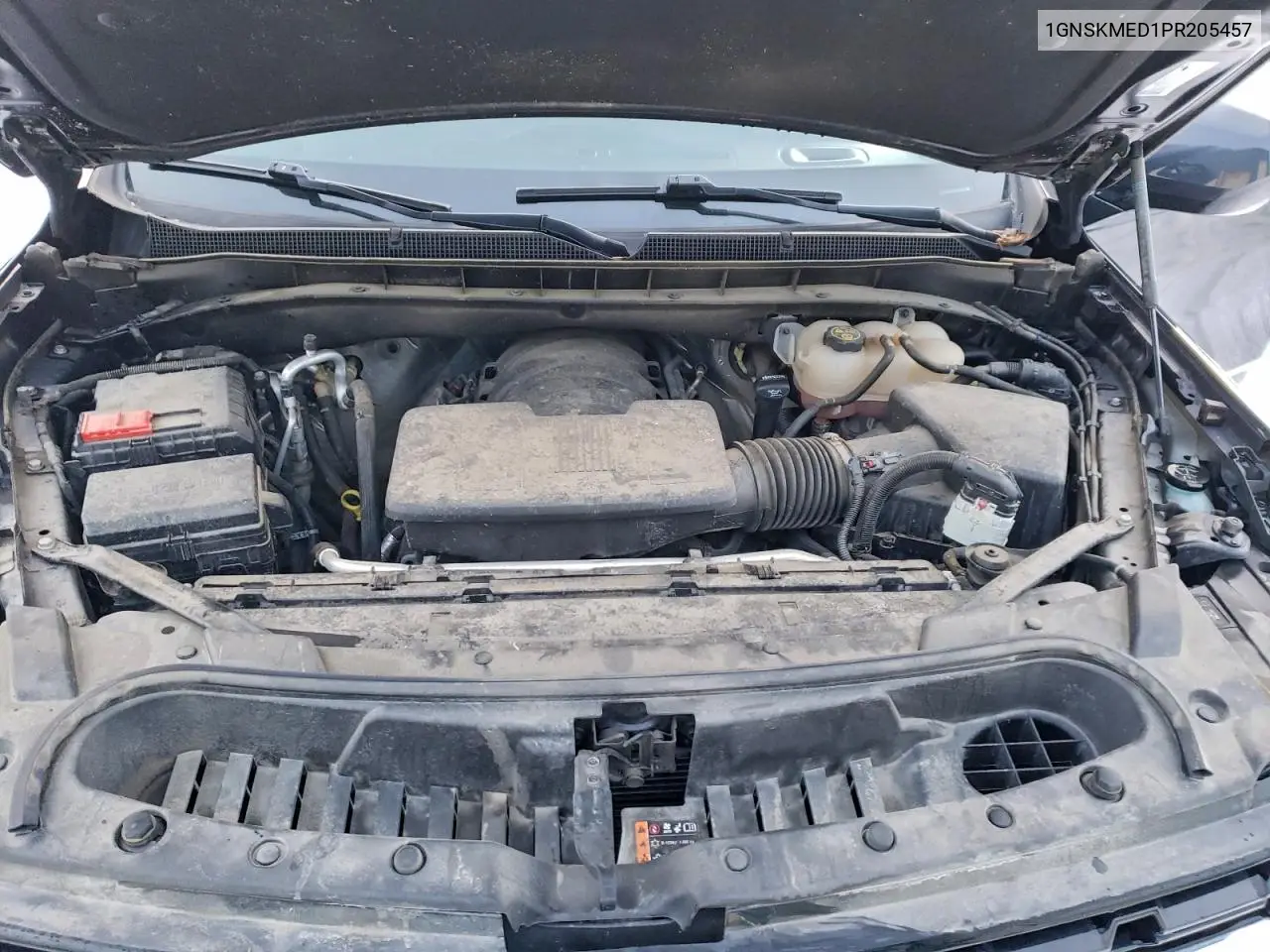 1GNSKMED1PR205457 2023 Chevrolet Tahoe K1500 Ls