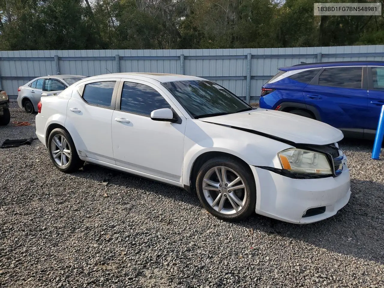 1B3BD1FG7BN548981 2011 Dodge Avenger Mainstreet