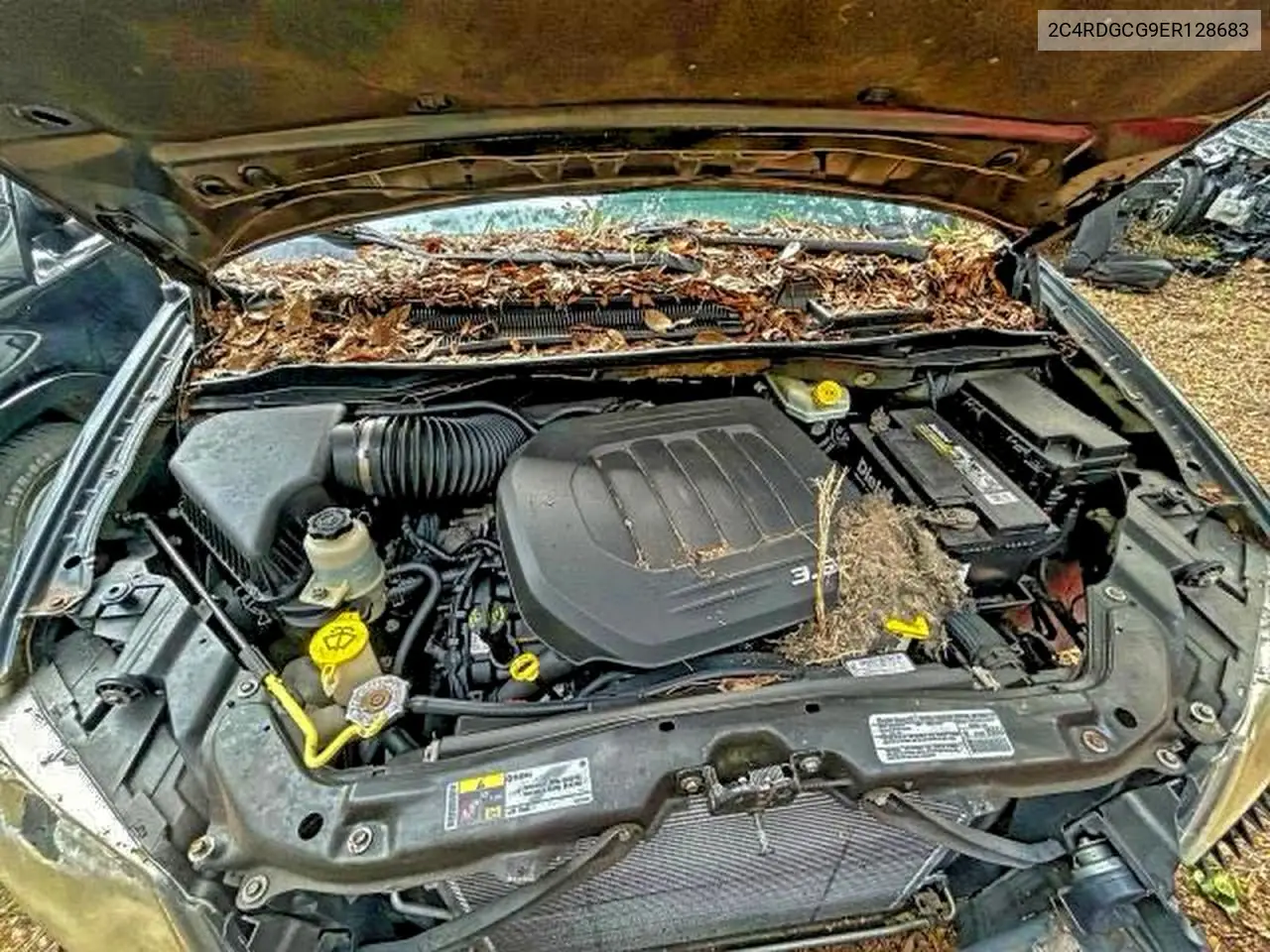 2C4RDGCG9ER128683 2014 Dodge Grand Caravan Sxt