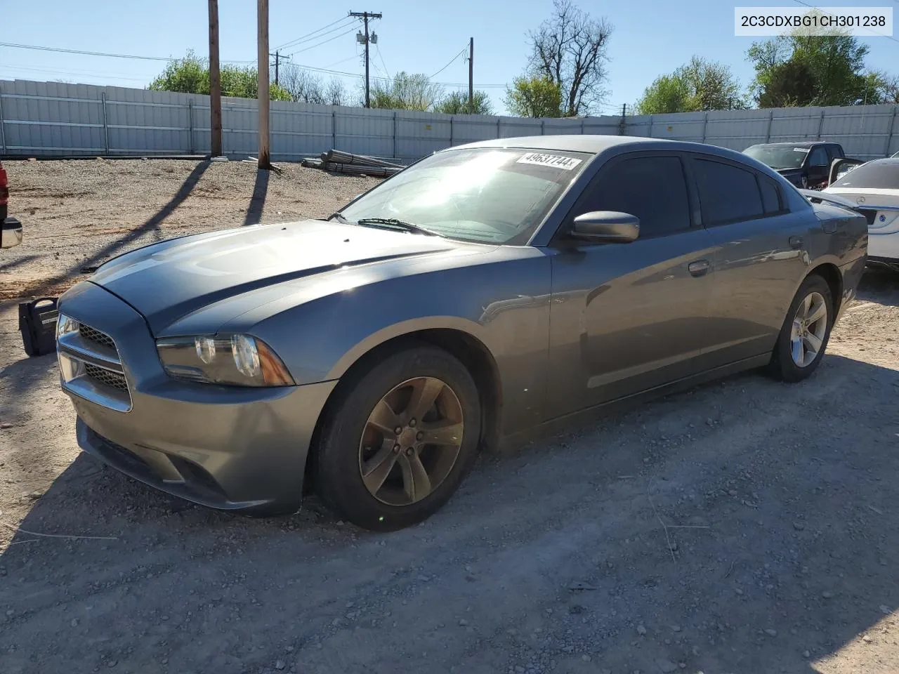 2012 Dodge Charger Se VIN: 2C3CDXBG1CH301238 Lot: 49637744