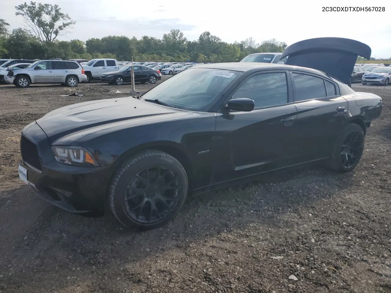 2013 Dodge Charger R/T VIN: 2C3CDXDTXDH567028 Lot: 71085314