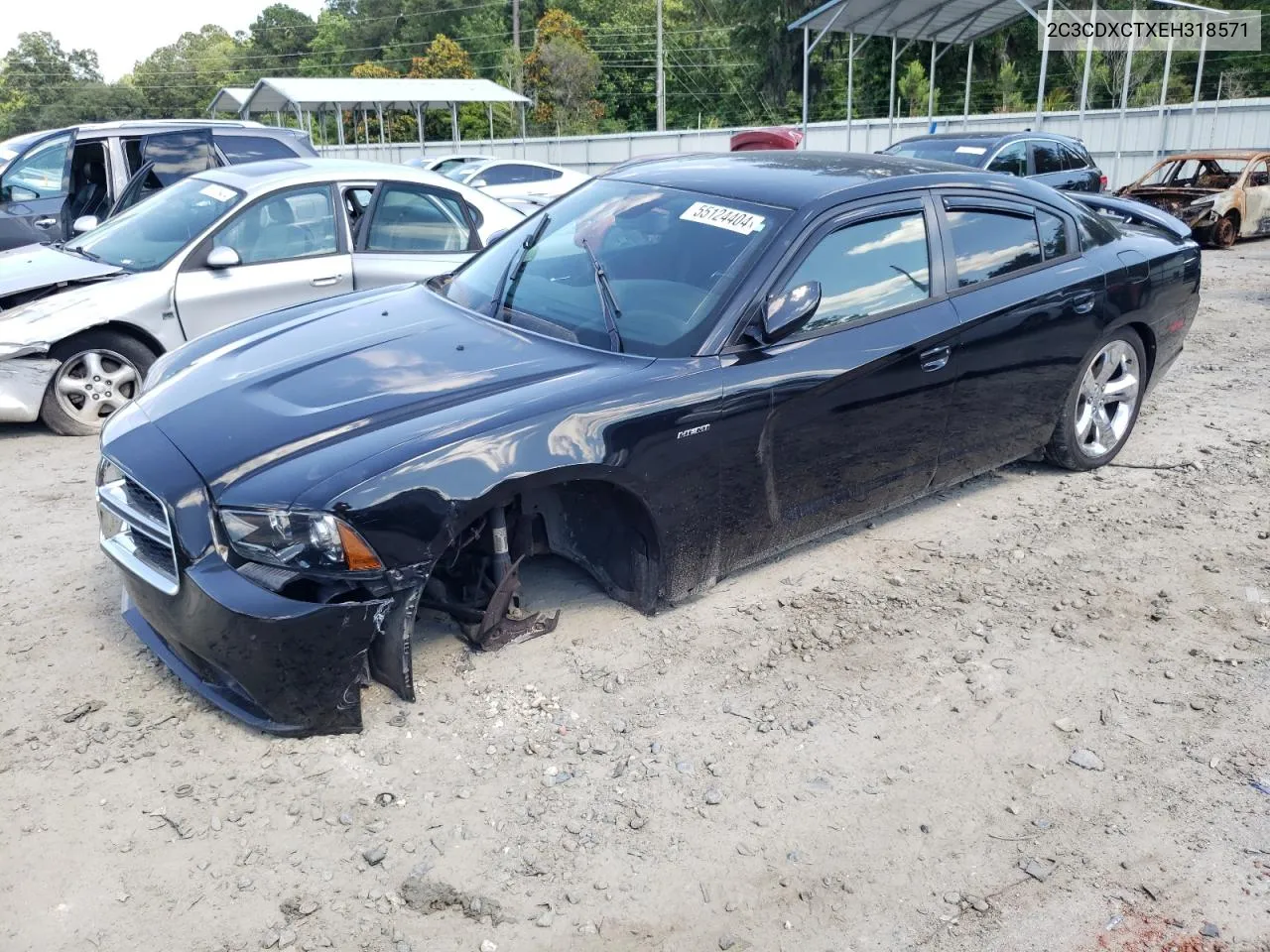 2014 Dodge Charger R/T VIN: 2C3CDXCTXEH318571 Lot: 55124404