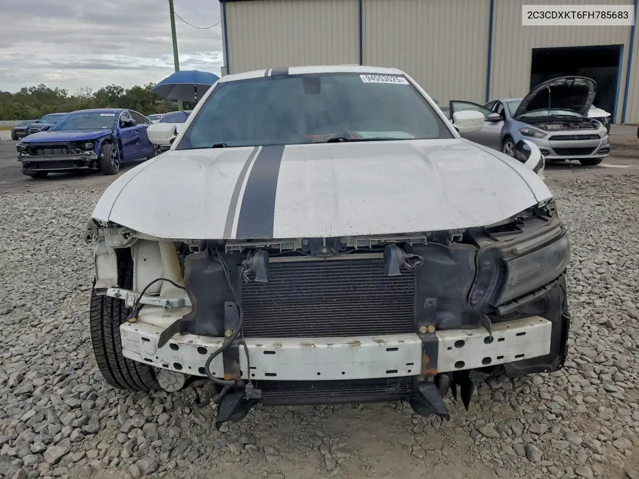 2C3CDXKT6FH785683 2015 Dodge Charger Police
