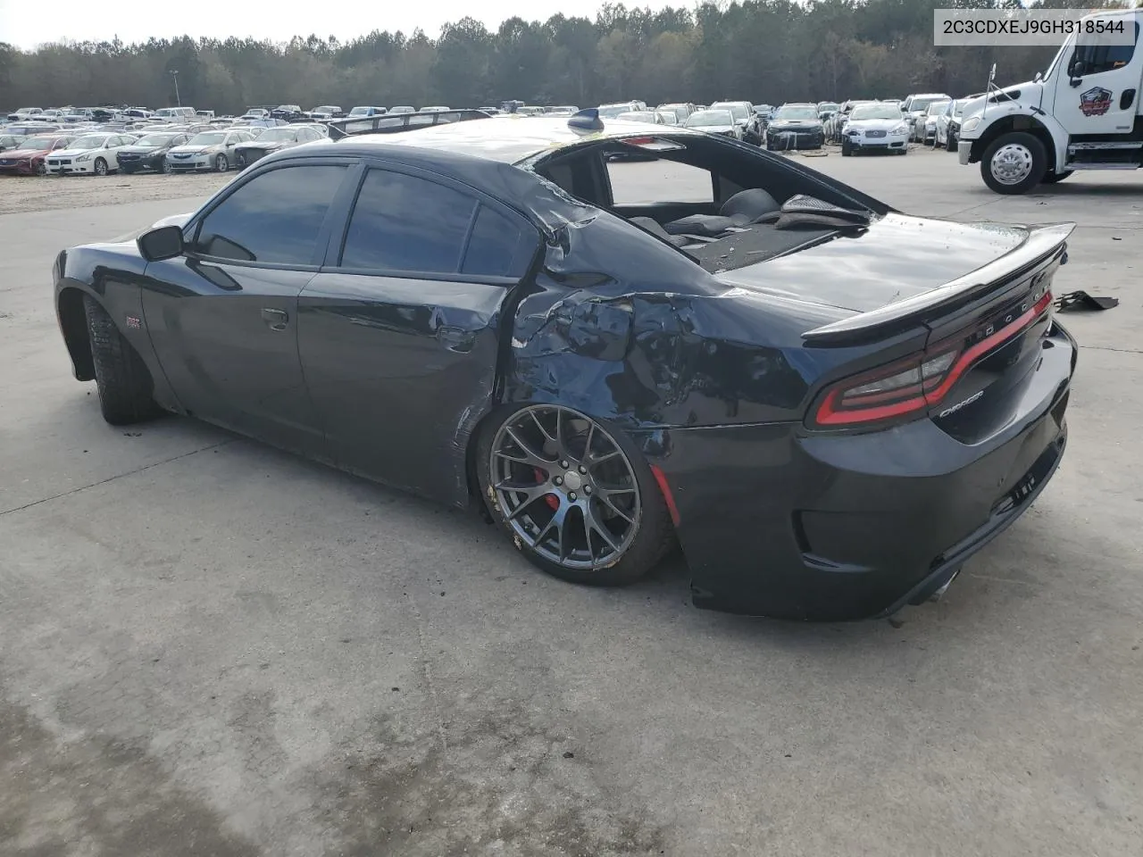 2C3CDXEJ9GH318544 2016 Dodge Charger Srt 392