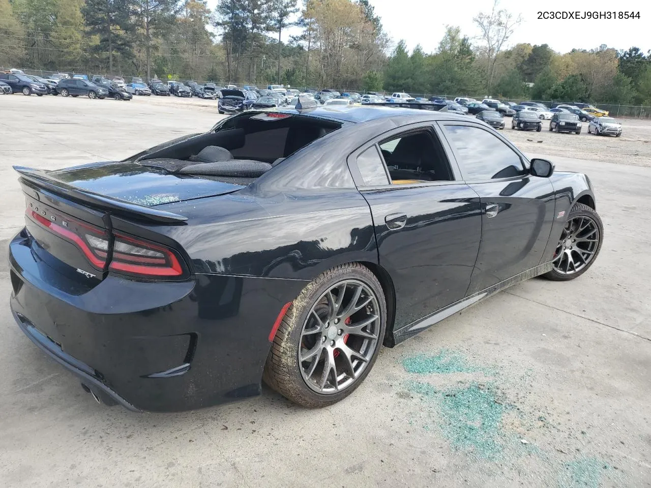 2C3CDXEJ9GH318544 2016 Dodge Charger Srt 392