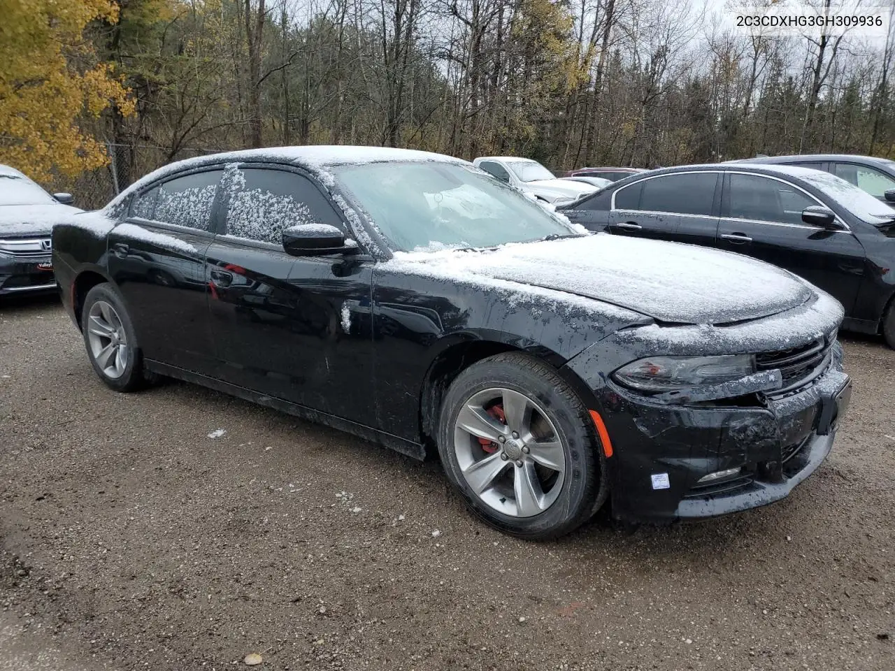 2C3CDXHG3GH309936 2016 Dodge Charger Sxt